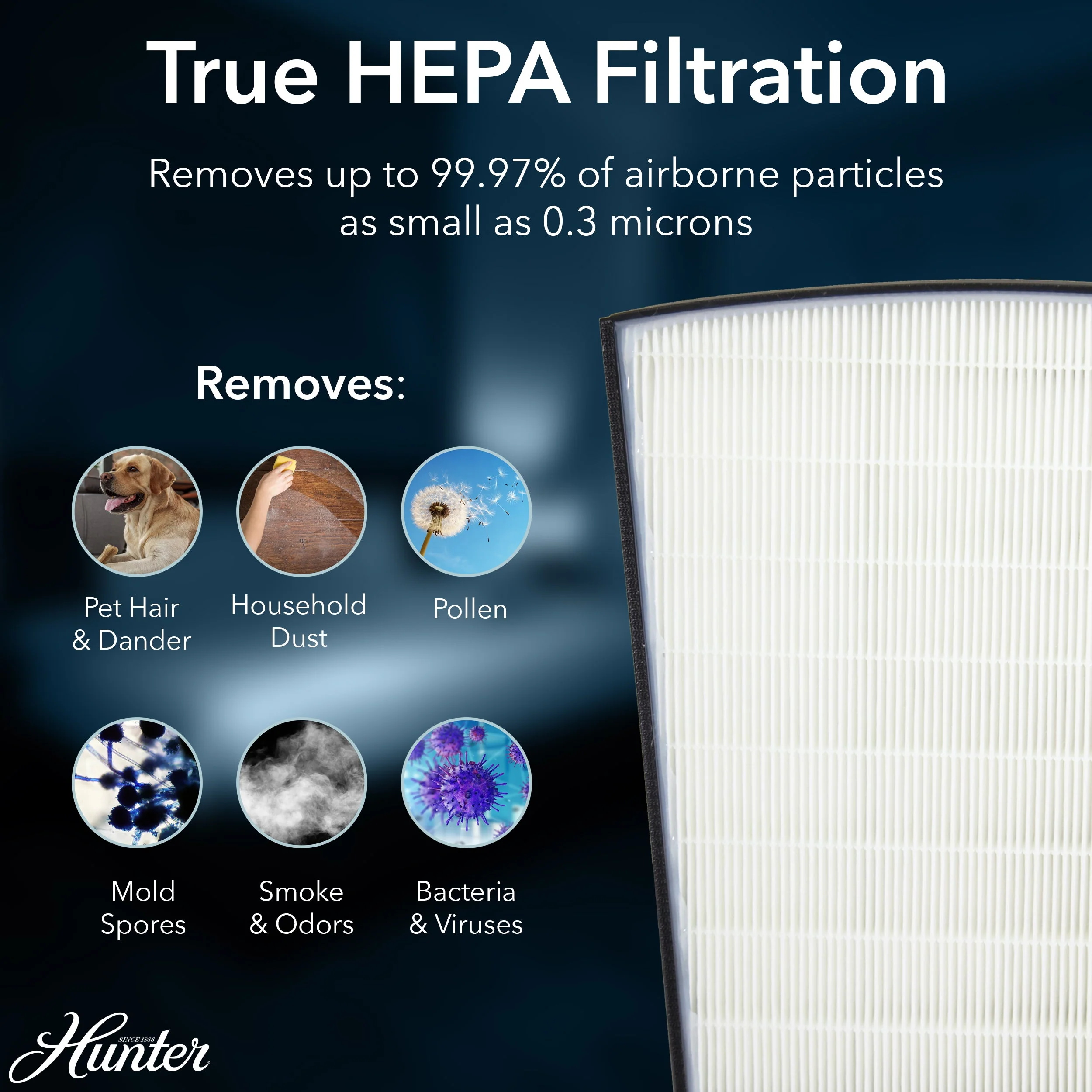 Hunter Multi-Room Large Console Air Purifier HP800 - Image 4