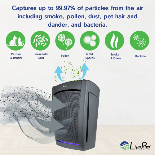 LivePure Bali Series Multi-Room True HEPA Air Purifier with Air Quality Sensing System LP560THP - Image 5
