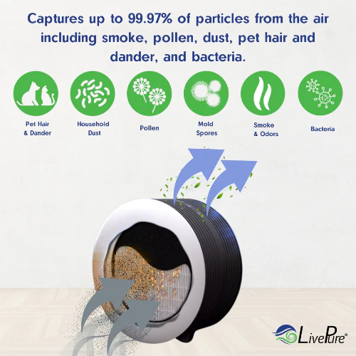 Livepure Capri Series True HEPA Tabletop Air Purifier LP150THP - Image 4